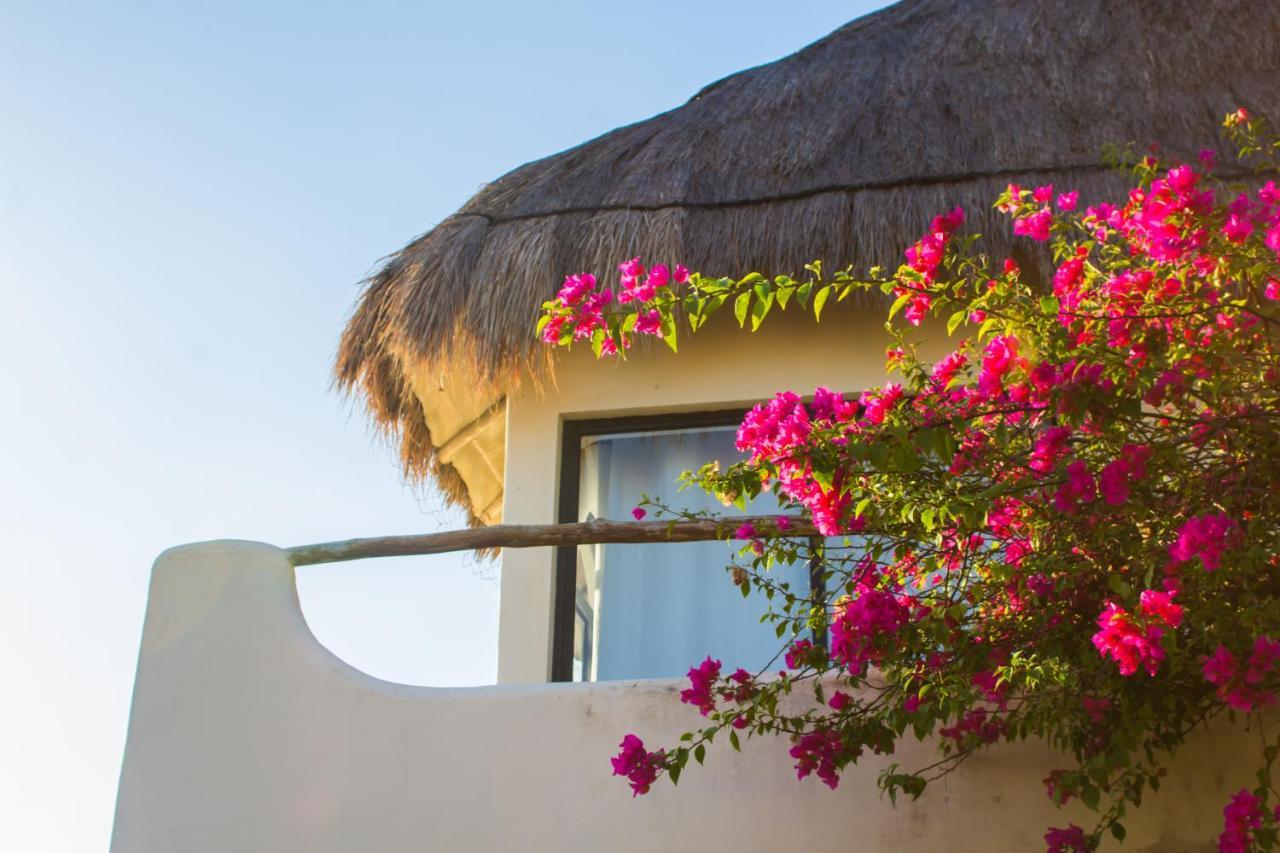 Kinbe Hotel Boutique Πλάγια Ντελ Κάρμεν Εξωτερικό φωτογραφία